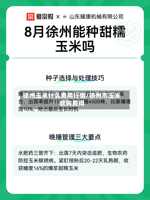 徐州玉米什么费用行情/徐州市玉米收购费用-第2张图片