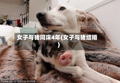 女子与猪同床4年(女子与猪结婚)
