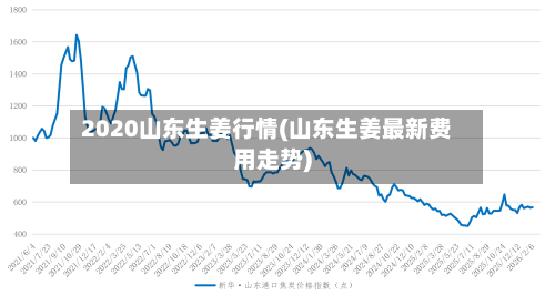 2020山东生姜行情(山东生姜最新费用走势)