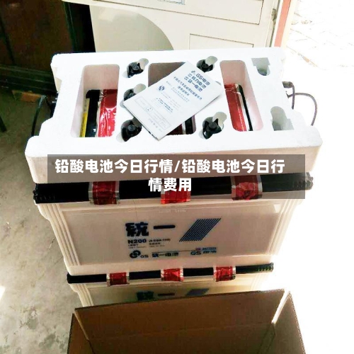 铅酸电池今日行情/铅酸电池今日行情费用