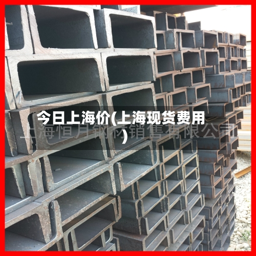 今日上海价(上海现货费用)