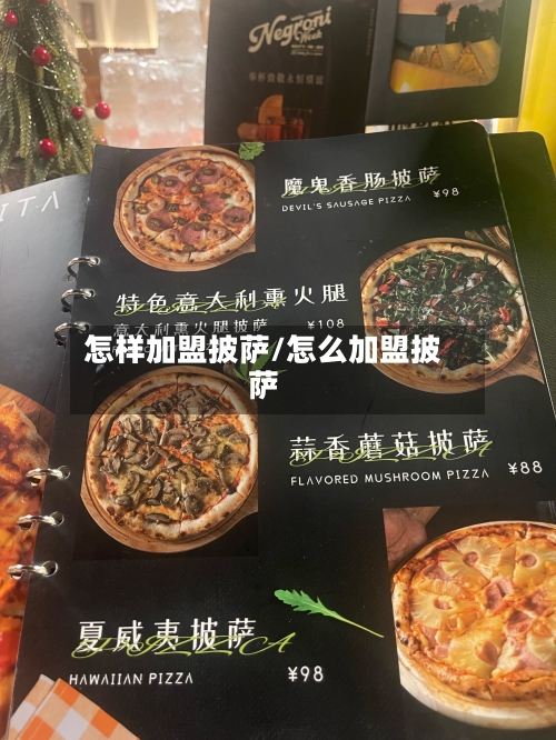 怎样加盟披萨/怎么加盟披萨-第2张图片