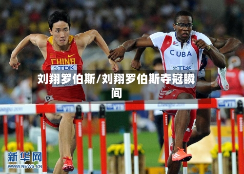 刘翔罗伯斯/刘翔罗伯斯夺冠瞬间-第2张图片