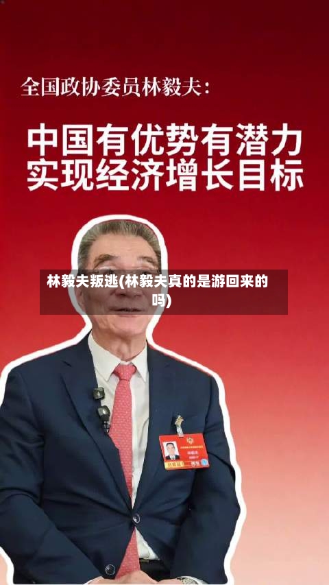 林毅夫叛逃(林毅夫真的是游回来的吗)