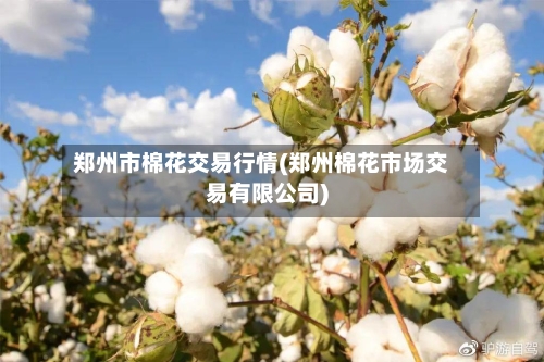 郑州市棉花交易行情(郑州棉花市场交易有限公司)