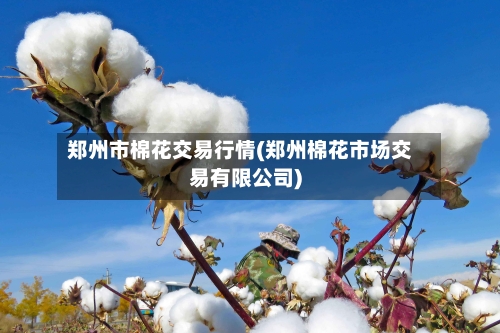 郑州市棉花交易行情(郑州棉花市场交易有限公司)-第2张图片