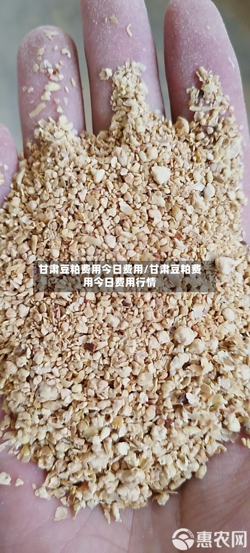 甘肃豆粕费用今日费用/甘肃豆粕费用今日费用行情-第2张图片