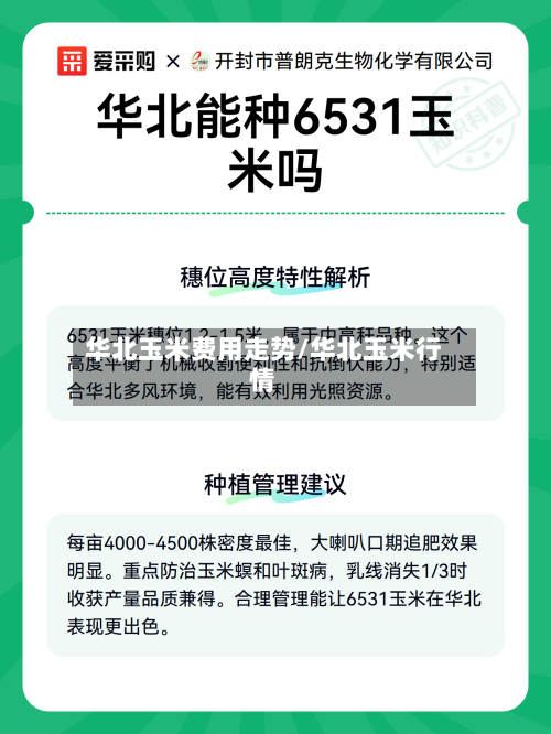 华北玉米费用走势/华北玉米行情