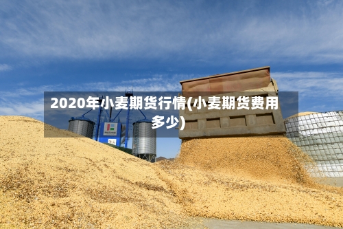 2020年小麦期货行情(小麦期货费用多少)