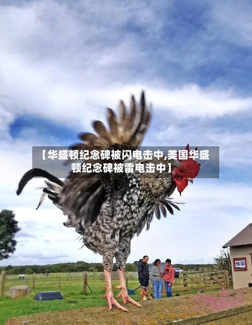 【华盛顿纪念碑被闪电击中,美国华盛顿纪念碑被雷电击中】