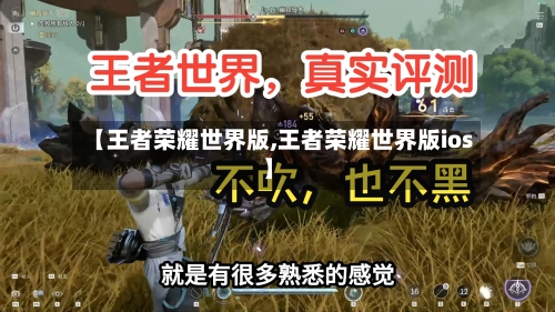 【王者荣耀世界版,王者荣耀世界版ios】-第2张图片