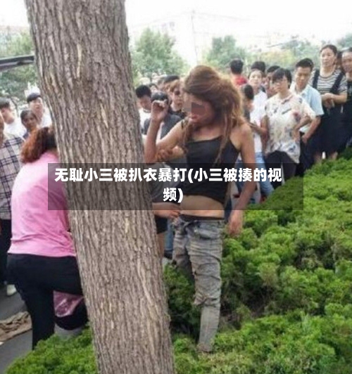 无耻小三被扒衣暴打(小三被揍的视频)-第3张图片
