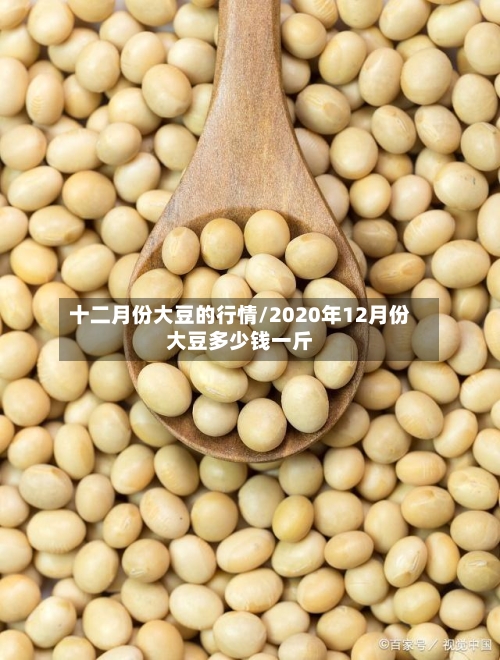 十二月份大豆的行情/2020年12月份大豆多少钱一斤-第3张图片