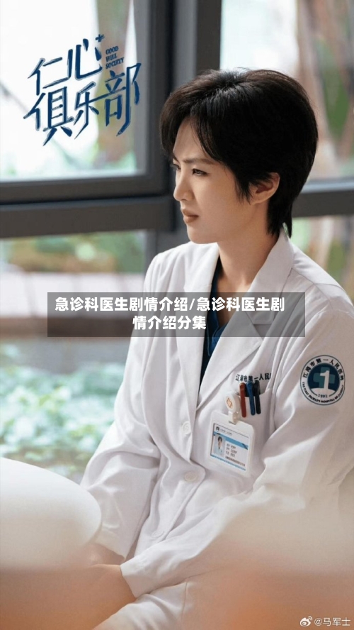急诊科医生剧情介绍/急诊科医生剧情介绍分集-第2张图片