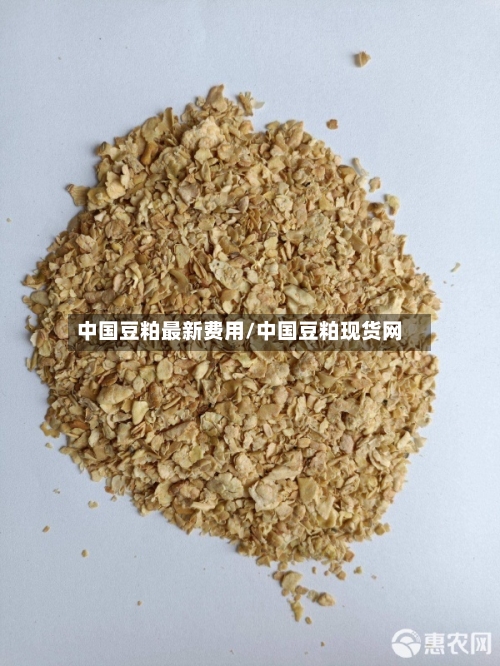 中国豆粕最新费用/中国豆粕现货网-第2张图片