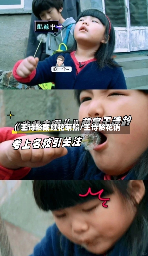 王诗龄戴红花萌照/王诗龄花销-第2张图片