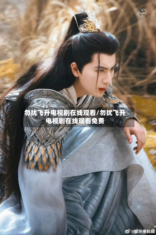 勿扰飞升电视剧在线观看/勿扰飞升电视剧在线观看免费-第3张图片