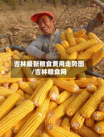 吉林最新粮食费用走势图/吉林粮食网