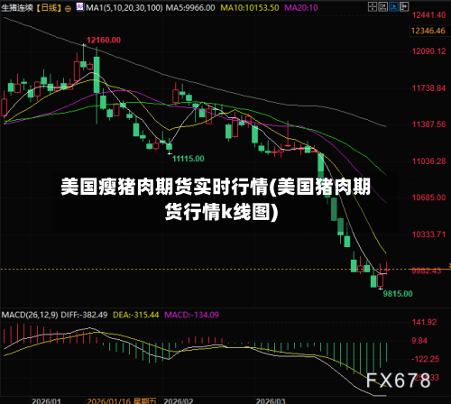 美国瘦猪肉期货实时行情(美国猪肉期货行情k线图)