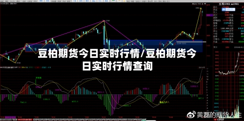 豆柏期货今日实时行情/豆柏期货今日实时行情查询-第3张图片