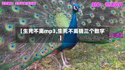 【生死不离mp3,生死不离猜三个数字】-第3张图片