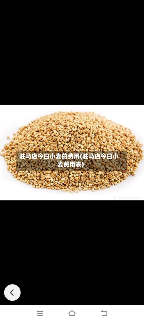 驻马店今日小麦的费用(驻马店今日小麦费用表)