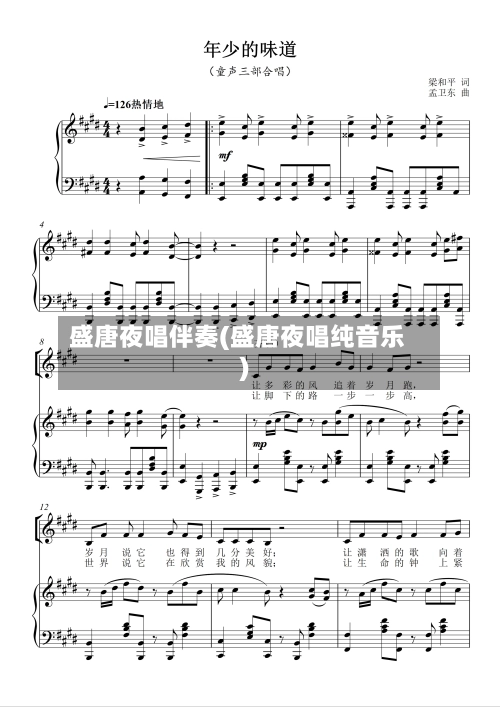 盛唐夜唱伴奏(盛唐夜唱纯音乐)-第3张图片