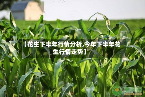 【花生下半年行情分析,今年下半年花生行情走势】-第2张图片