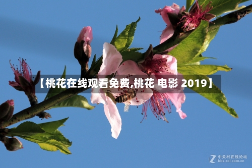 【桃花在线观看免费,桃花 电影 2019】-第2张图片