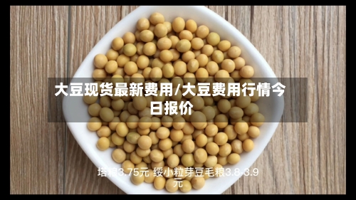 大豆现货最新费用/大豆费用行情今日报价-第2张图片