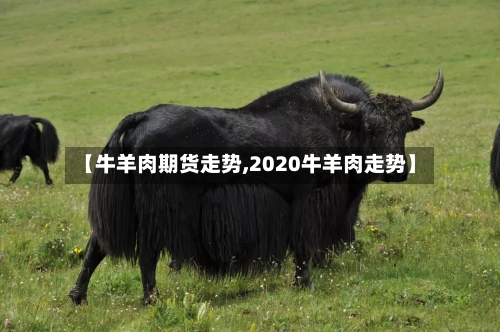 【牛羊肉期货走势,2020牛羊肉走势】