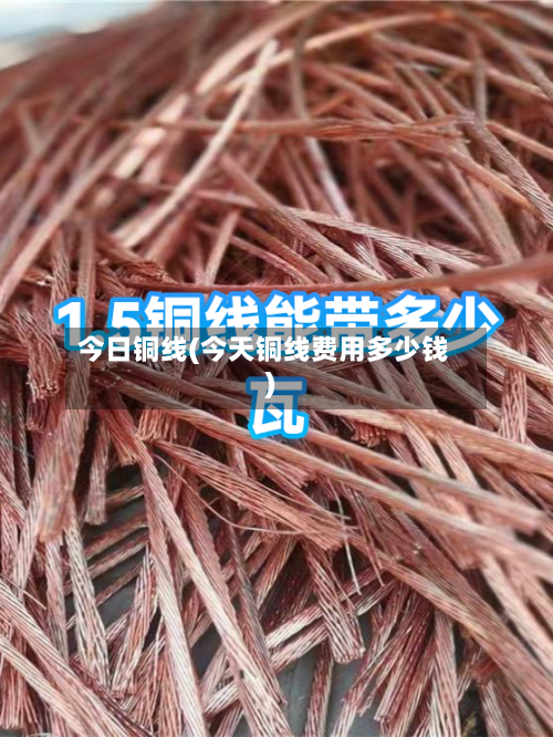 今日铜线(今天铜线费用多少钱)