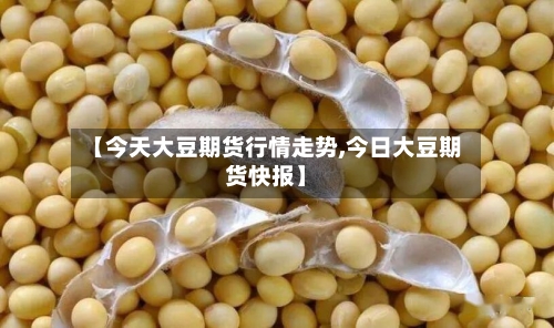 【今天大豆期货行情走势,今日大豆期货快报】-第3张图片
