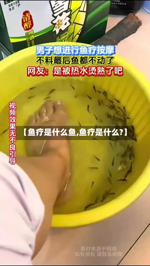 【鱼疗是什么鱼,鱼疗是什么?】-第3张图片
