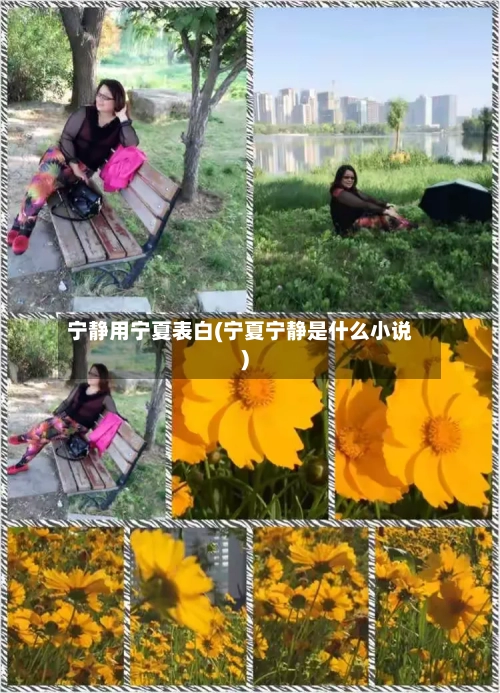 宁静用宁夏表白(宁夏宁静是什么小说)