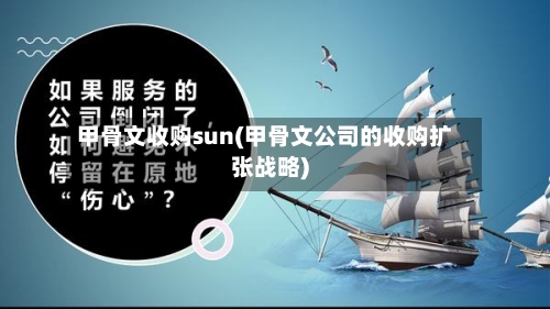 甲骨文收购sun(甲骨文公司的收购扩张战略)