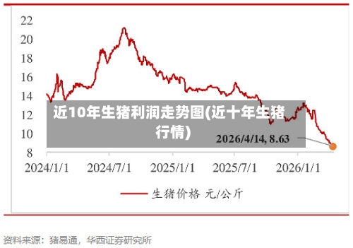 近10年生猪利润走势图(近十年生猪行情)