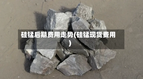 硅锰后期费用走势(硅锰现货费用)