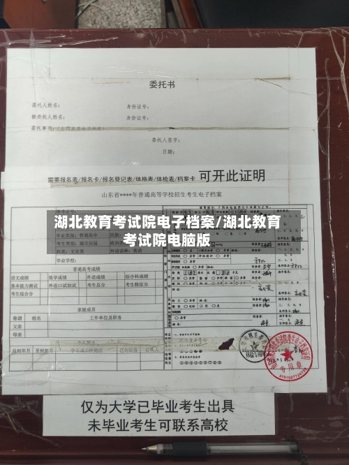 湖北教育考试院电子档案/湖北教育考试院电脑版