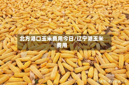 北方港口玉米费用今日/辽宁港玉米费用-第3张图片