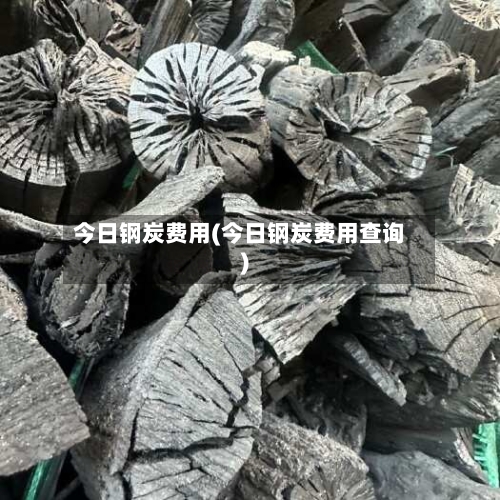 今日钢炭费用(今日钢炭费用查询)-第2张图片