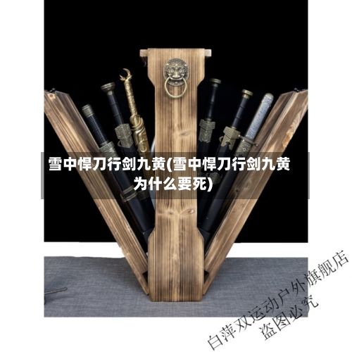 雪中悍刀行剑九黄(雪中悍刀行剑九黄为什么要死)