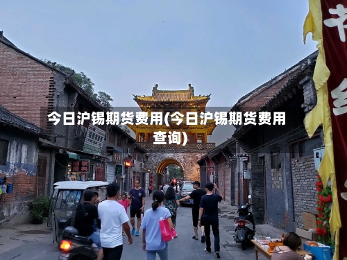 今日沪锡期货费用(今日沪锡期货费用查询)-第2张图片
