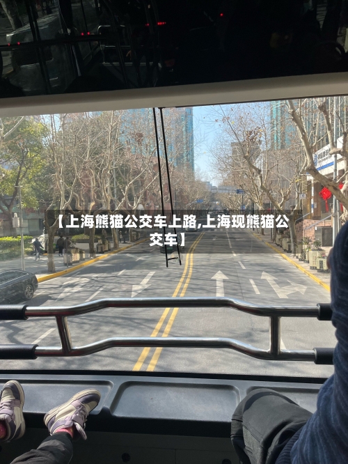 【上海熊猫公交车上路,上海现熊猫公交车】-第2张图片
