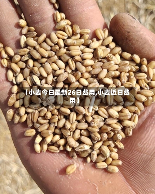 【小麦今日最新26日费用,小麦近日费用】