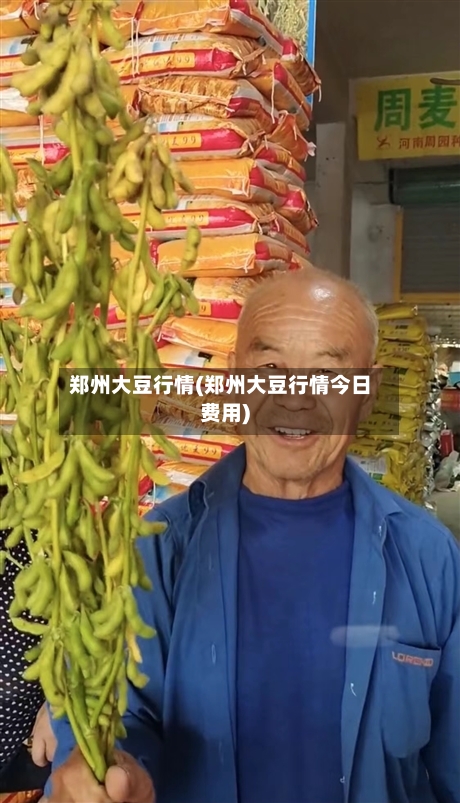 郑州大豆行情(郑州大豆行情今日费用)