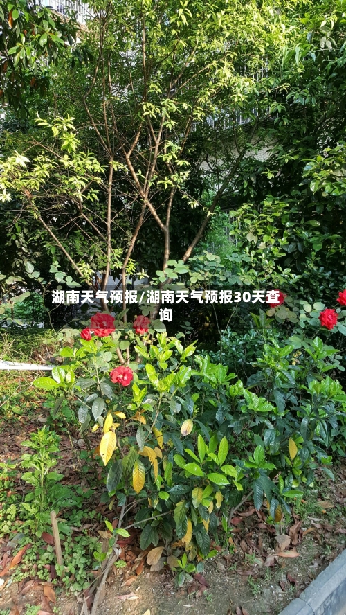 湖南天气预报/湖南天气预报30天查询
