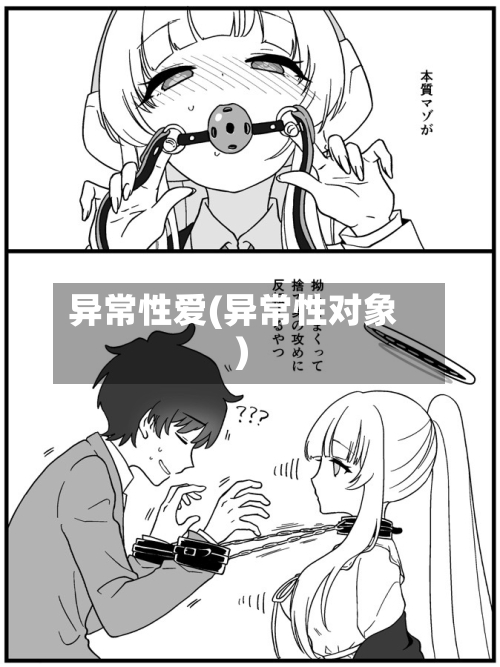 异常性爱(异常性对象)