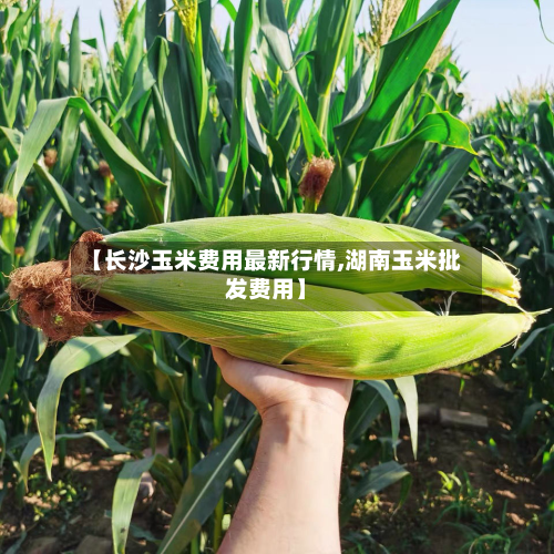 【长沙玉米费用最新行情,湖南玉米批发费用】-第2张图片