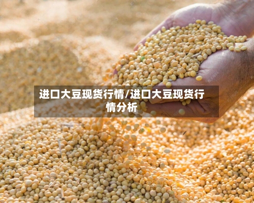 进口大豆现货行情/进口大豆现货行情分析